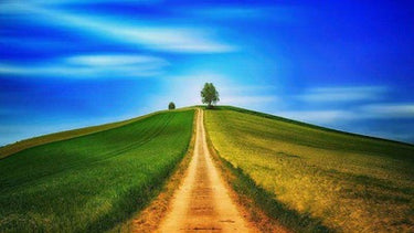 Diamond Painting Wandelen Op De Berg met Ronde steentjes 100x55cm - Beste Kwaliteit